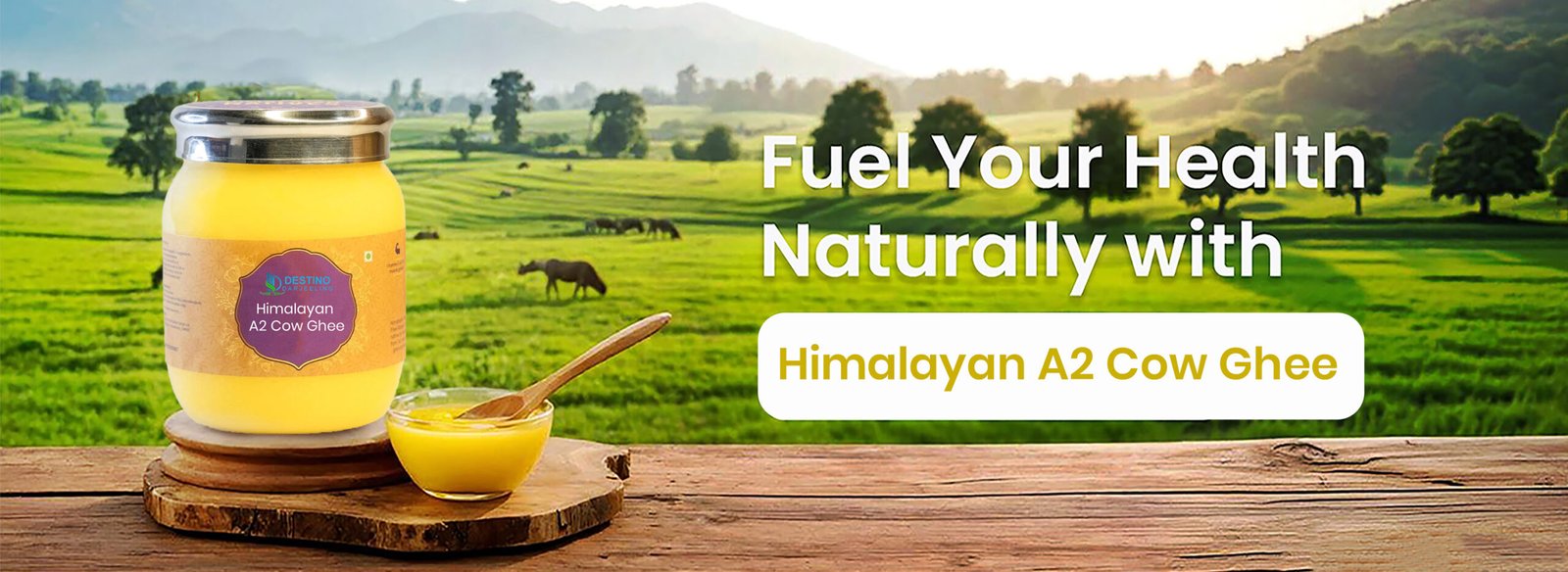 057dd4089c91d5a9cb46088e4b3de908